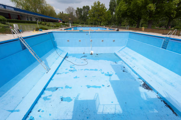 Best Mold removal after water damage  in Anna, IL