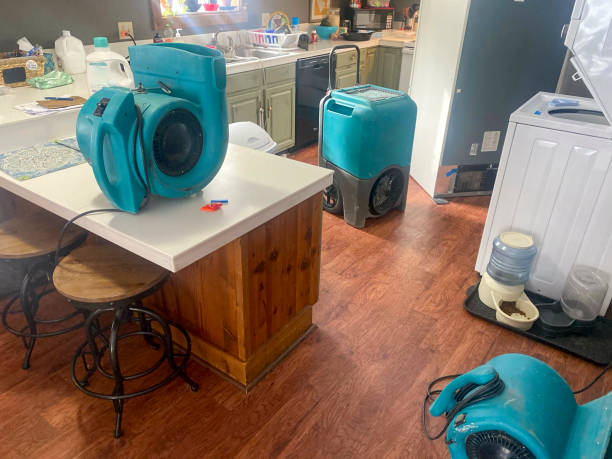 Best Water damage restoration near me  in Anna, IL