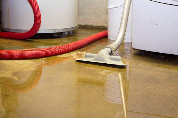 Best Water damage repair service  in Anna, IL