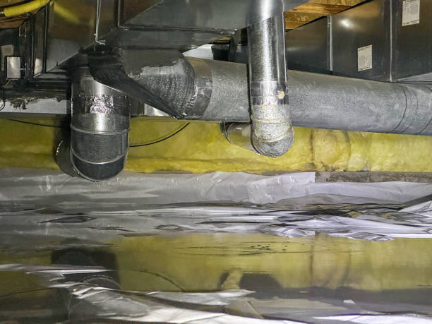 Best Carpet water damage restoration  in Anna, IL